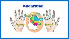 <b>媒体揭开皮纹测试天赋潜能敛财骗局:位列中国十大科技骗局第六</b>